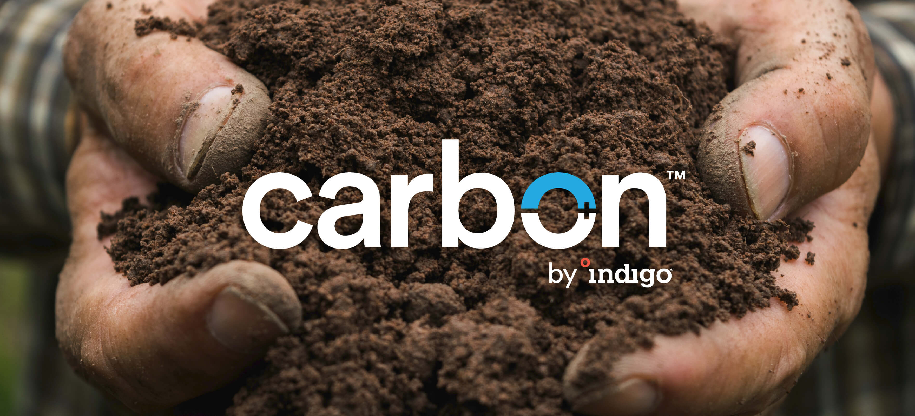 indigo carbon credits