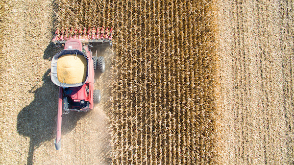 3 Farmer Spotlights for World Food Day